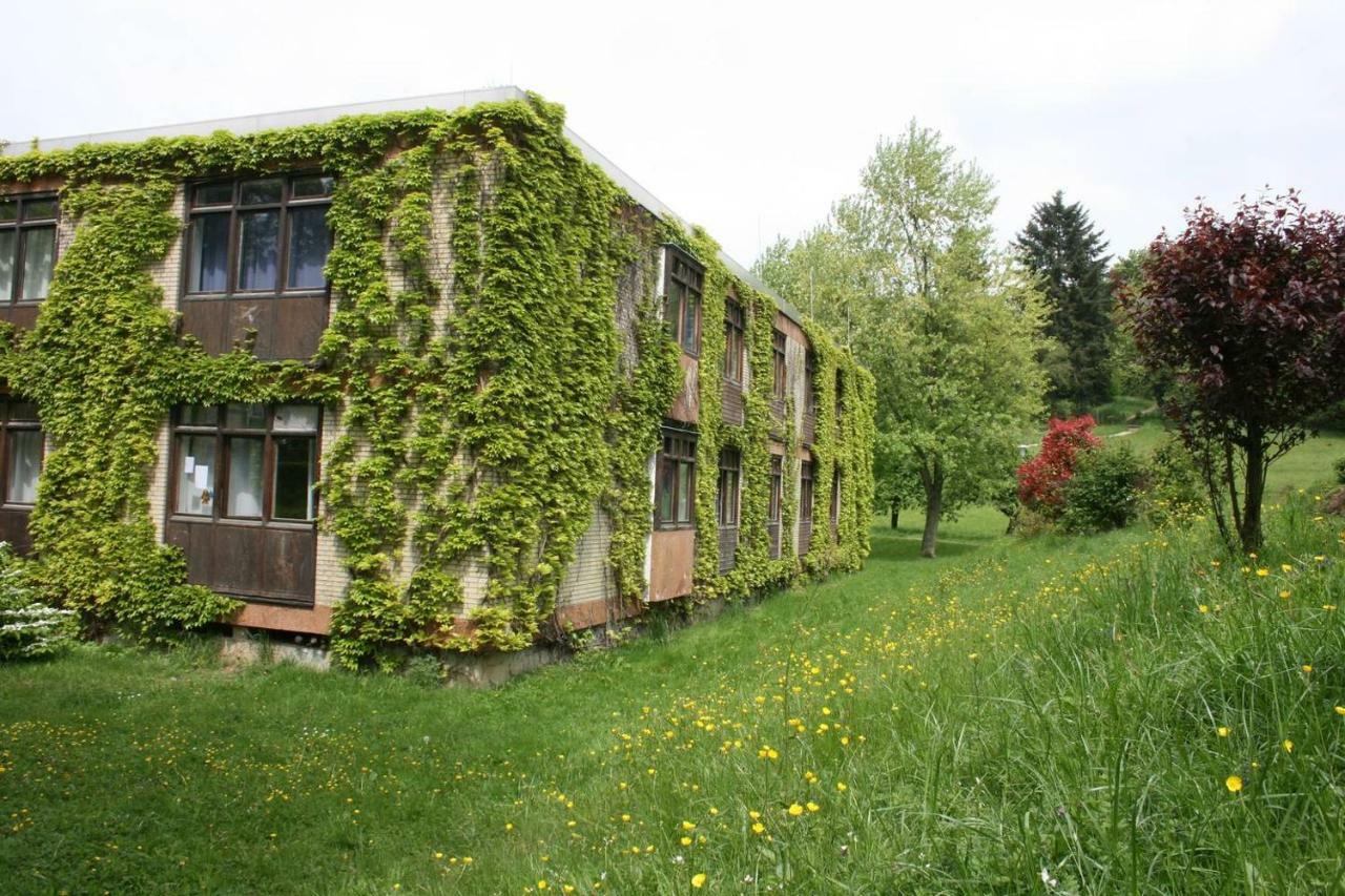Parkblick Appartement - Entspannung Pur! Ober-Hambach المظهر الخارجي الصورة